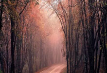 欢迎在宝塔面板安装Z-BlogPHP!